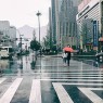 中国環境NGOの今